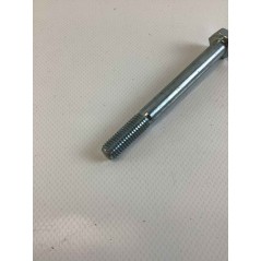 Screw lawn tractor mower models TURBO1 ORIGINAL GIANNI FERRARI 00.92.06.0220 | Newgardenstore.eu