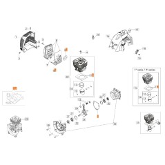 Dichtungen Kit ORIGINAL OLEOMAC Einheit' Motor BC 300 D 61280250 | Newgardenstore.eu