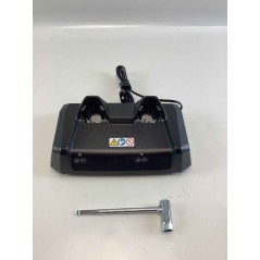 Set potatore a batteria GTA40 STIHL 2 batterie AS 2 caricabatterie AL 5-2 | Newgardenstore.eu