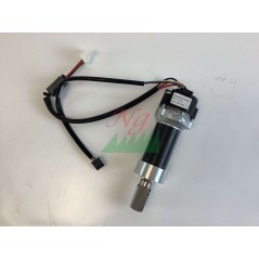 Motor reductor Ambrogio (sin escobillas - motorreductor): 042Z22400A_R | Newgardenstore.eu