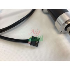 Ambrogio Motorreduzierer (bürstenlos – Getriebemotor): 042Z22400A_R | Newgardenstore.eu