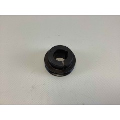 Lawnmower pulley PG 5540SBQ PROGREEN 035771 | Newgardenstore.eu