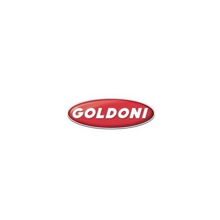 RESSORT DE RETENUE DU LEVIER ORIGINAL GOLDONI 00058989 | Newgardenstore.eu