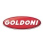 RESSORT DE RETENUE DU LEVIER ORIGINAL GOLDONI 00058989