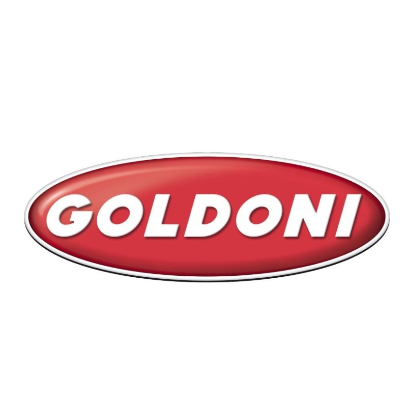 Molla Frizione ORIGINALE GOLDONI 00019712