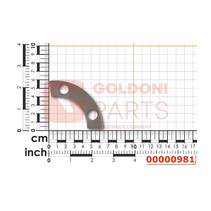 BLECHSCHRAUBENHALTERUNG ORIGINAL GOLDONI 00000981