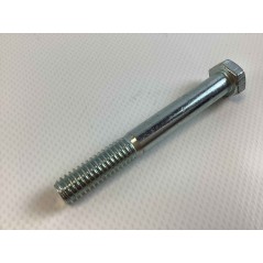 Tornillo tractor de césped modelos SRZ151 ORIGINAL GIANNI FERRARI 93900100300 | Newgardenstore.eu