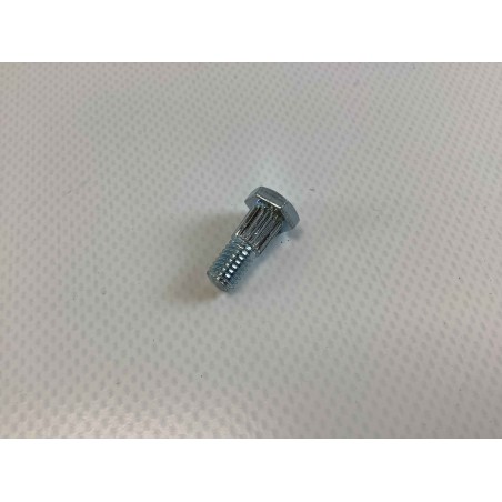 M6x16 shear blade screw BL0010 ORIGINAL GIANNI FERRARI 00.92.10.0001