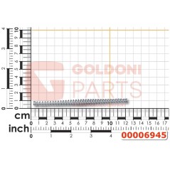 CONICAL PROPELLER SPRING ORIGINAL GOLDONI 00006945