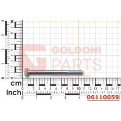 TORNILLO TE M 8X 95 ZN 57 ORIGINAL GOLDONI 06110059 | Newgardenstore.eu