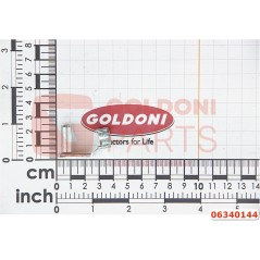 ACHSE KALWAS 8X16 ESN 01 ORIGINAL GOLDONI 06340144