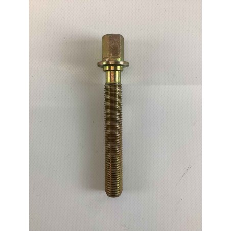 TORNILLO DE AJUSTE M16X100 ORIGINAL GOLDONI 00000248 | Newgardenstore.eu