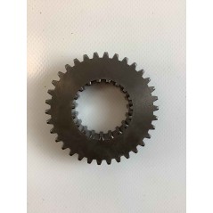 GEAR SELECTION GEAR ORIGINAL GOLDONI 00006193