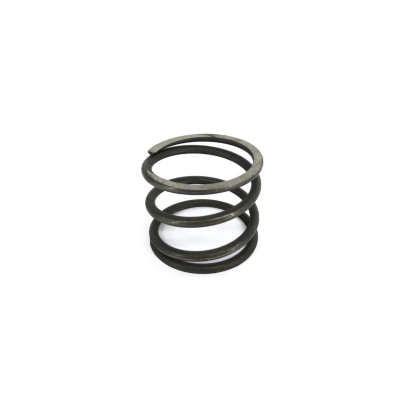 CLUTCH SPRING ORIGINAL GOLDONI 00019712