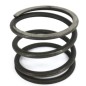 CLUTCH SPRING ORIGINAL GOLDONI 00019712