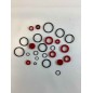 PUMP GASKET SET ORIGINAL GOLDONI 02060128