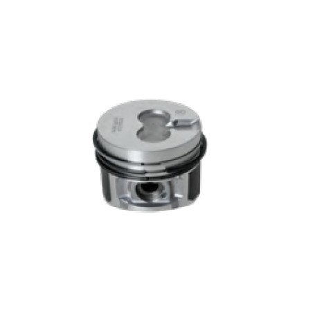 Piston segments STANDARD 75 mm DIESEL engine LOMBARDINI LDW702 LDW702/P LDW1003 | Newgardenstore.eu