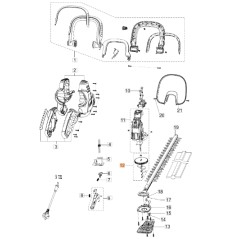 Kit Zahnräder Heckenschere Modelle HC605E ORIGINAL OLEOMAC K43220035 | Newgardenstore.eu