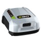 EGO CHX5500 E professional charger with fast charging button