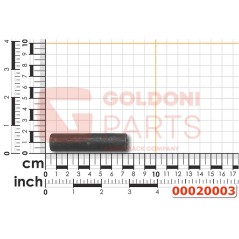 SATELLITE PIVOT D.16X68 ORIGINAL GOLDONI 00020003 | Newgardenstore.eu