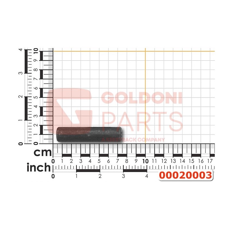 PIN SATELITAL D.16X68 ORIGINAL GOLDONI 00020003