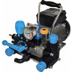 2-Membran-Elektropumpe mit Elektromotor für die Bewässerung 91560 | Newgardenstore.eu