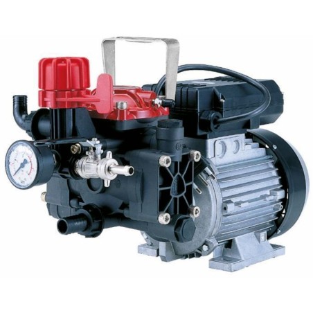 Elektrische Pumpe AR 252EM mit einphasigem Elektromotor für die Bewässerung 34164 | Newgardenstore.eu