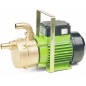 Electric transfer pump with two-way self-priming handle 01087