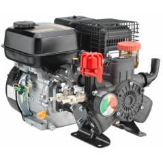 Motor-Pumpe AR 403 mit Verbrennungsmotor zum Sprühen 92888 | Newgardenstore.eu