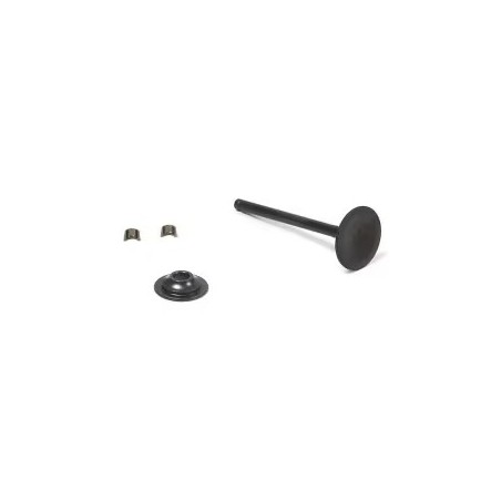 EXHAUST VALVE ORIGINAL BRIGGS&STRATTON 716519 | Newgardenstore.eu