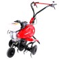 TERRO 40 H C2 SERIES PUBERT rotary tiller with HONDA GP 160 OHV 163 cc engine