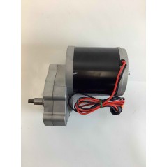 Motor drive wheels ORIGINAL BLUEBIRD FM 23-53 9A01000602000 | Newgardenstore.eu