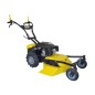 Falciatutto RL210 RL 53 cm SERIE ROQUES ET LECOEUR con motore RV 225 OHV 223 cc