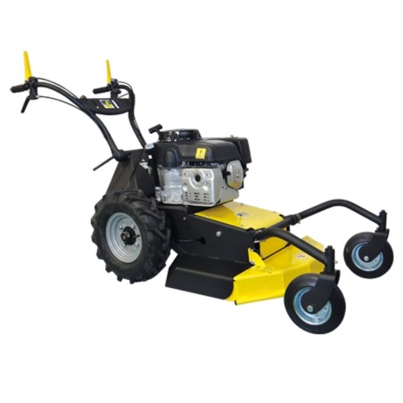 Falciatutto RL 2006 B 53 cm SERIE ROQUES ET LECOEUR con motore BRIGGS & STRATTON | Newgardenstore.eu