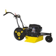 2006 RL 53 cm RL sickle mower SERIE ROQUES ET LECOEUR with RV 170 OHV engine | Newgardenstore.eu