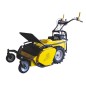 ROQUESETLECOEUR RL460B Faucheuse à fléaux de 60 cm avec moteur BRIGGS & STRATTON