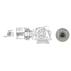 Moteur complet ZANETTI ZBM210L4V 208 cc arbre cylindrique De 20 auto-enrouleur | Newgardenstore.eu