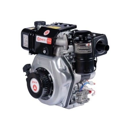 Motor complete ZANETTI ZDM73C1MEV 246 cc conical shaft of 23 electric diesel | Newgardenstore.eu