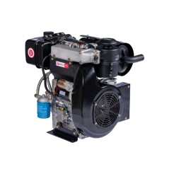 Motor completo ZANETTI ZDM92/2L7EV 997 cc eje cilíndrico de 36,5 eléctrico | Newgardenstore.eu