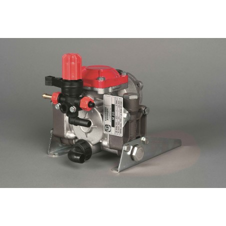 Diaphragm pump M20 VR 15 IMOVILLI medium-high pressure 20 l/1'-25 bar-700 rpm | Newgardenstore.eu