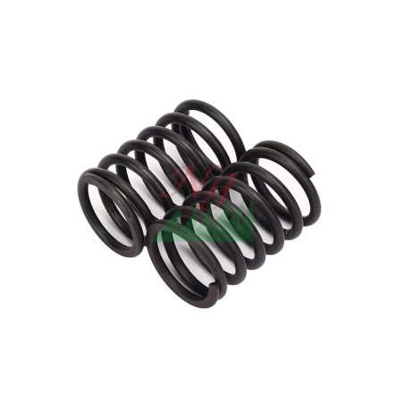 Pair of valve springs for LOMBARDINI DIESEL engine 3LD510 LDW502 LDW602 LDW903 | Newgardenstore.eu