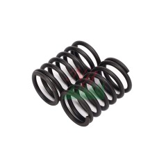 Pair of valve springs for LOMBARDINI DIESEL engine 15LD225 15LD31515LD350