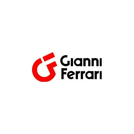 PASADOR PIVOTE DIRECCIÓN IZQUIERDA ORIGINAL GIANNI FERRARI CORTACÉSPED 01.50.01.0252