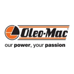 ORIGINAL OLEOMAC CLUTCH SPRING 099900227R | Newgardenstore.eu