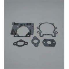 ORIGINAL OLEOMAC BRUSHCUTTER ENGINE GASKET KIT 61202038BR