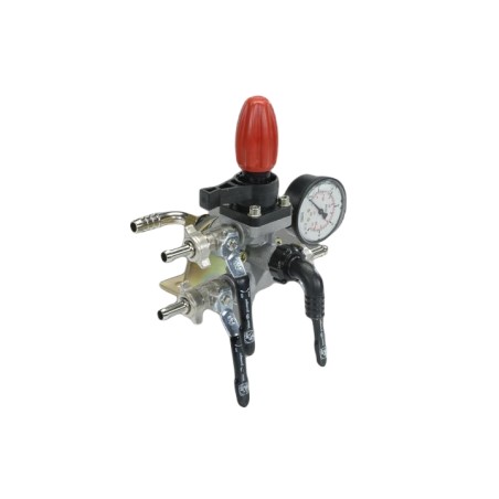 Control unit C6 2-way IMOVILLI for pump M50- M60- M73- P63 - M83 2605.013 | Newgardenstore.eu