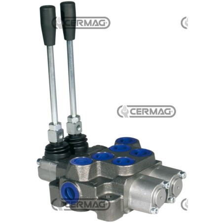 2-LEVER DISTRIBUTOR SET UP FOR CARRY OVER 80007 | Newgardenstore.eu