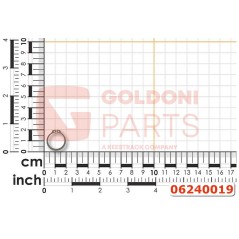 SEEGER 30X1,5 mm E 74 ORIGINAL GOLDONI 06240019 | Newgardenstore.eu