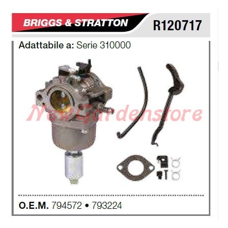 Carburateur B&S pour tondeuse à gazon série 310000 R120717 | Newgardenstore.eu