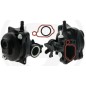 Carburador compatible con motor BRIGGS & STRATTON modelo 08P502